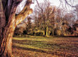 Norton Common